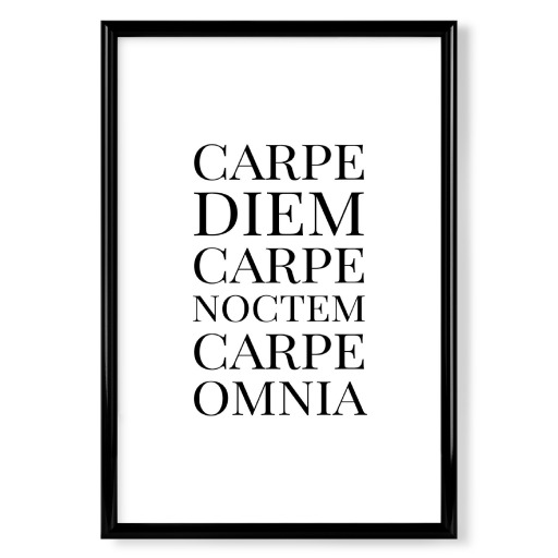 Carpe Diem Carpe Noctem