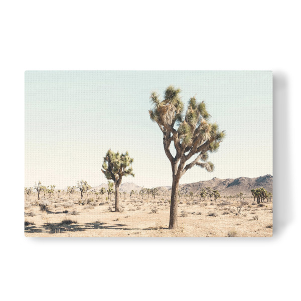 Leinwandbild "Pastel Desert" artboxONE - Natur,Reise - Desert,Wüste,Tree,Baum