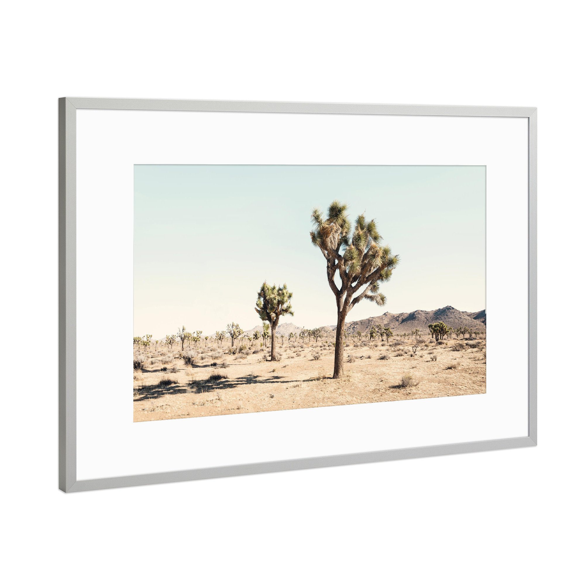 Poster mit Rahmen Silber "Pastel Desert" artboxONE - Natur,Reise - Desert,Wüste,Tree,Baum