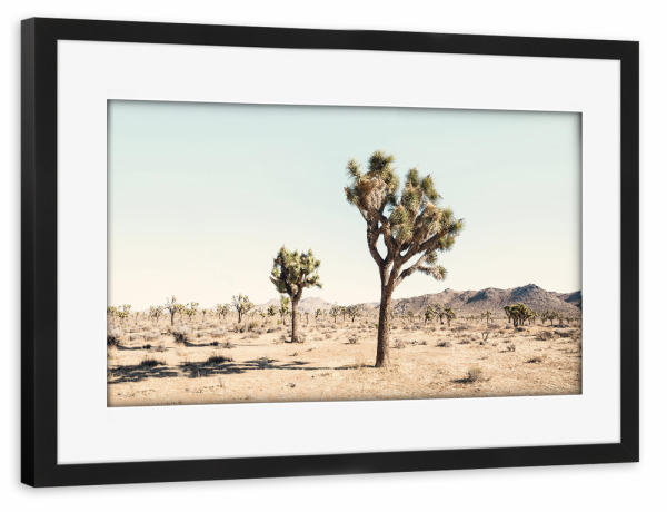 Poster mit Rahmen schwarz "Pastel Desert" artboxONE - Natur,Reise - Desert,Wüste,Tree,Baum