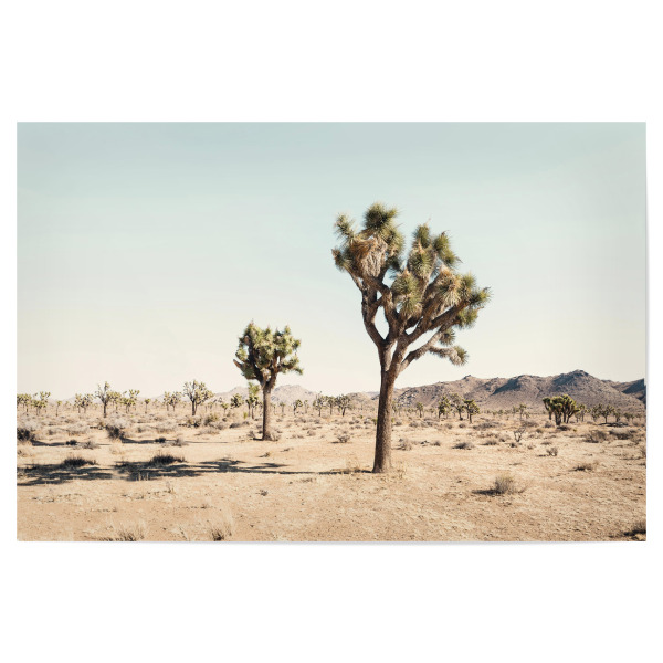 Poster "Pastel Desert" artboxONE - Natur,Reise - Desert,Wüste,Tree,Baum