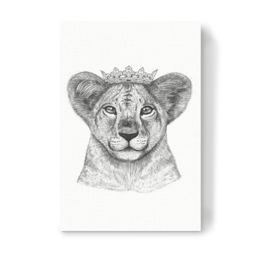 The Lion Princess