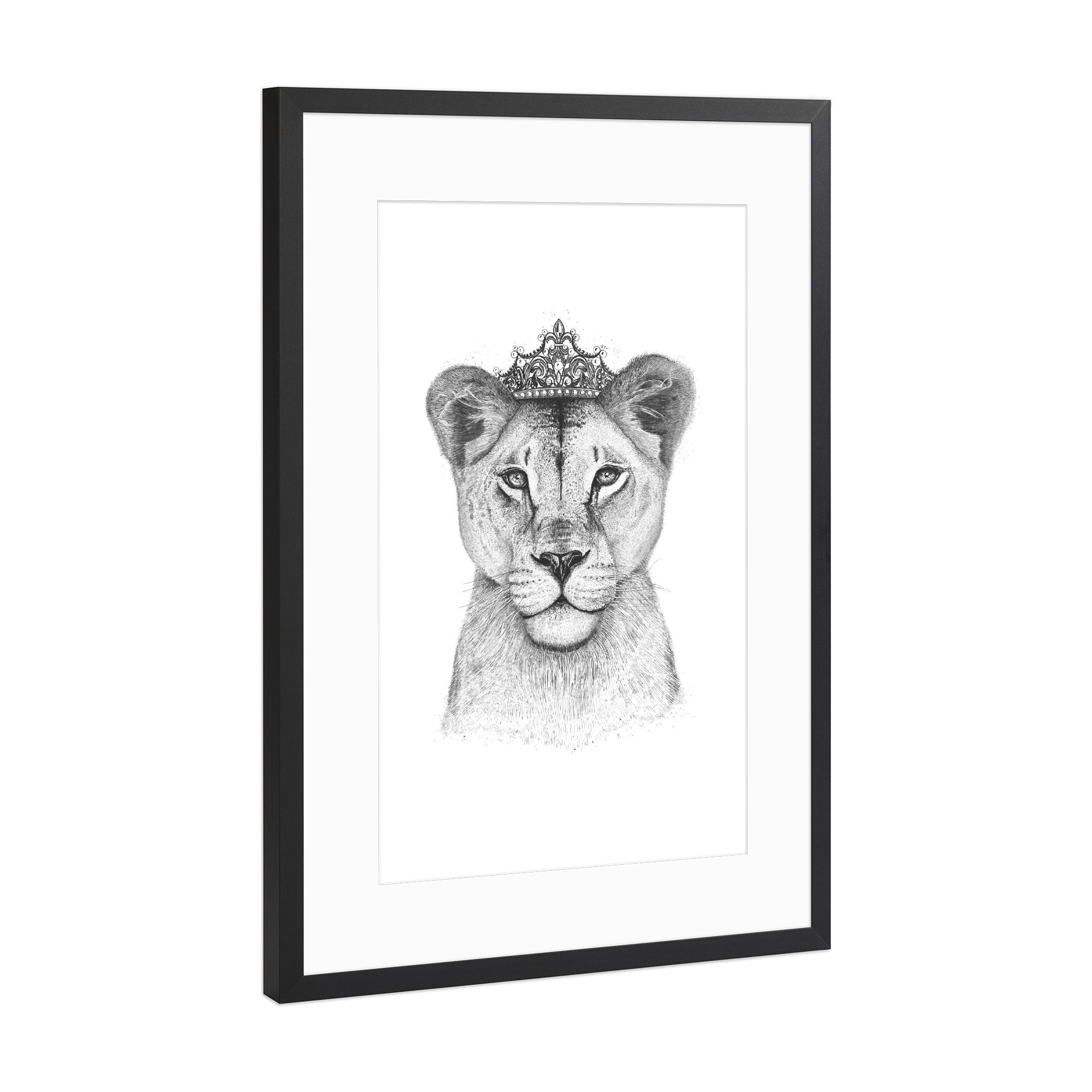 Poster mit Rahmen Schwarz (Metallic) "The Lioness Queen" artboxONE - Tiere,Schwarzweiß,Lustig - Löwin,Löwe,Königin,Krone,Löwenkönigin,Tier,Schwarzweiß