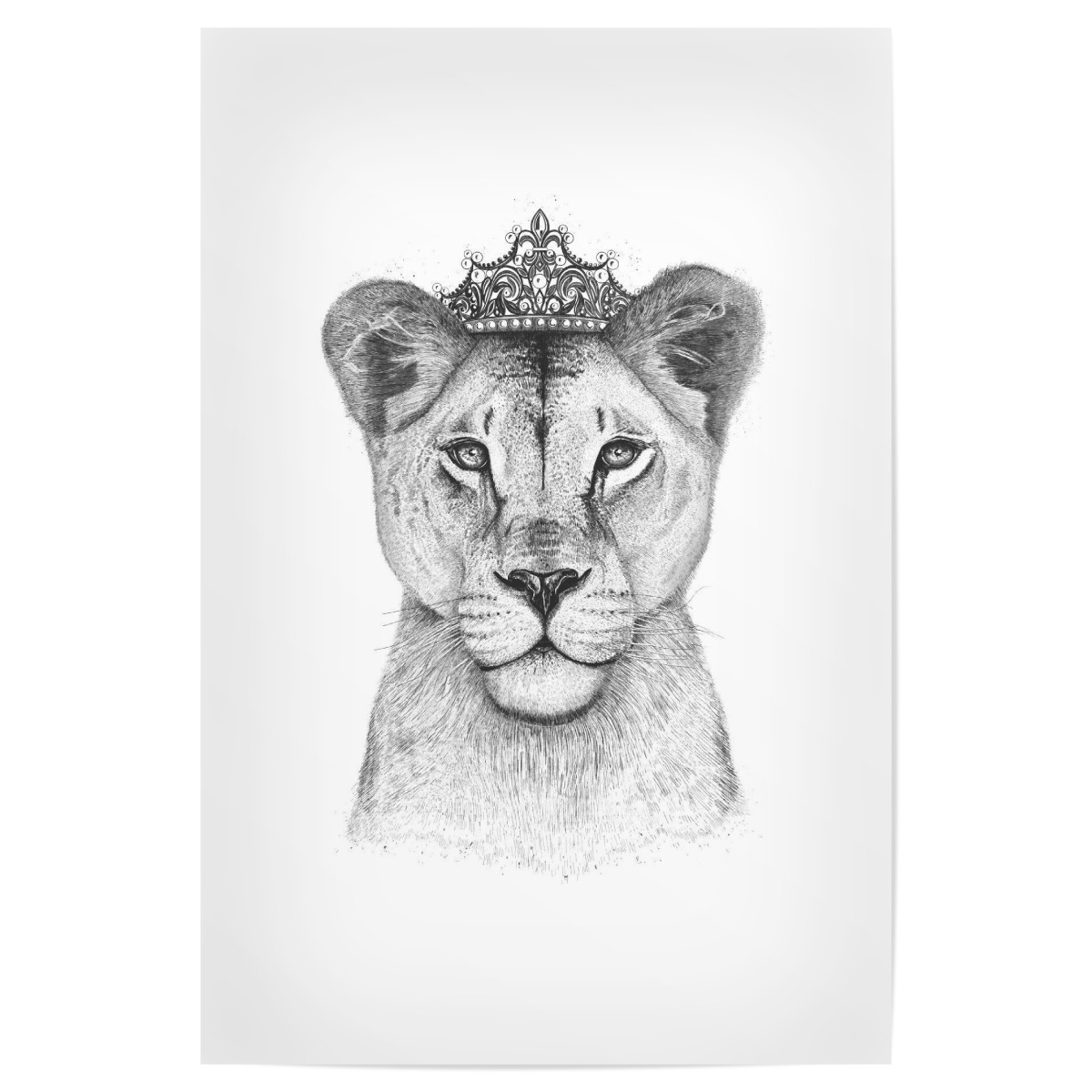 Purchase The The Lioness Queen As A Poster At Artboxone