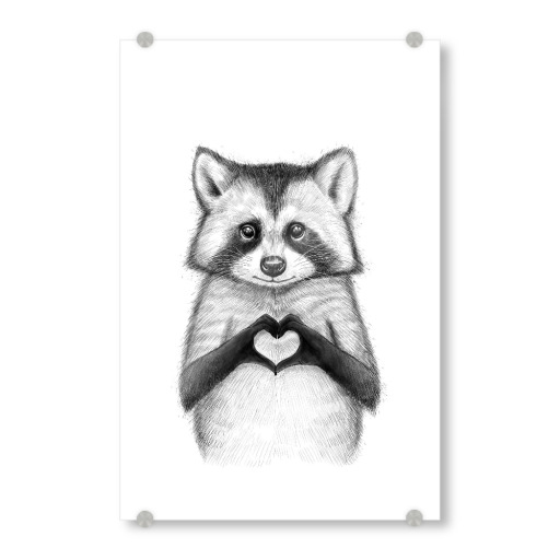 Raccoon with heart