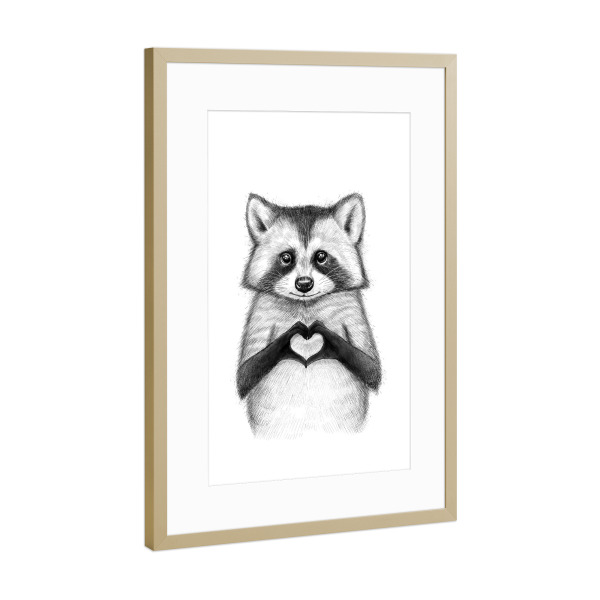 Poster mit Rahmen Gold "Raccoon with heart" artboxONE - Für Kinder,Tiere,Schwarzweiß,Liebe - Raccoon,Liebe,Waschbär,Schwarzweiß,Tier,Herz