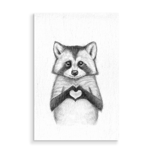 Raccoon with heart