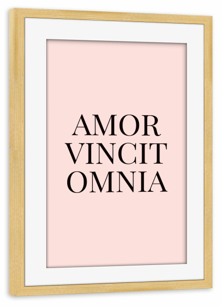 Poster mit Rahmen kiefer "Amor Vincit Omnia" artboxONE - Typografie,Abstrakt,Liebe - Love,Latin,Quote,Liebe