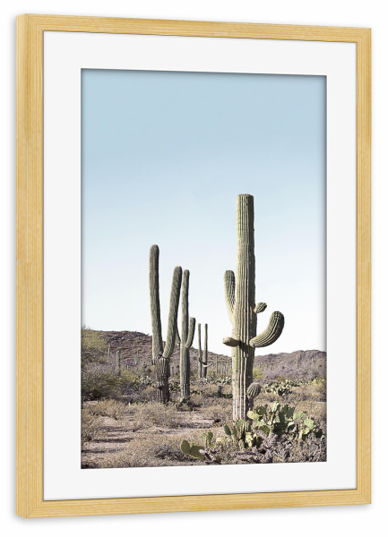 Poster mit Rahmen kiefer "Cactus One" artboxONE - Natur,Reise - Cactus,Kaktus,Desert,Wüste
