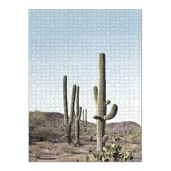 Puzzle Ravensburger "Cactus One" artboxONE - Natur,Reise - Cactus,Kaktus,Desert,Wüste - Bild cactus