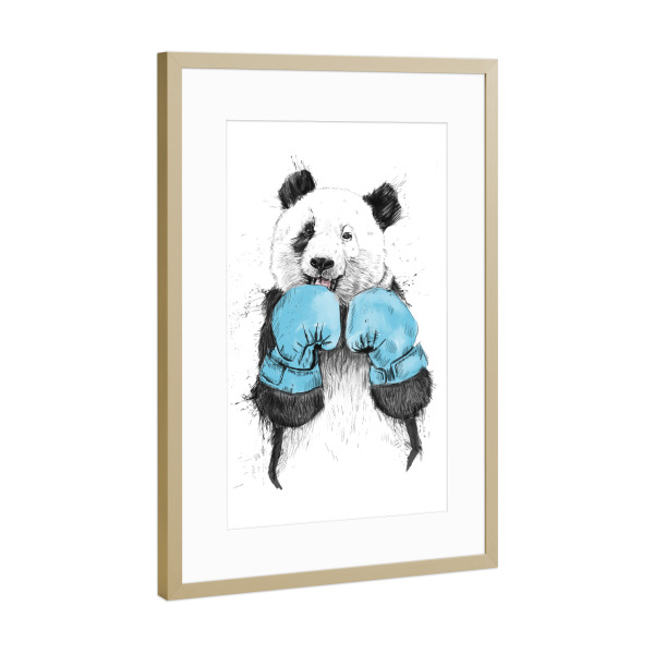 Poster mit Rahmen Gold "The winner" artboxONE - Tiere,Sport - Panda,Boxing