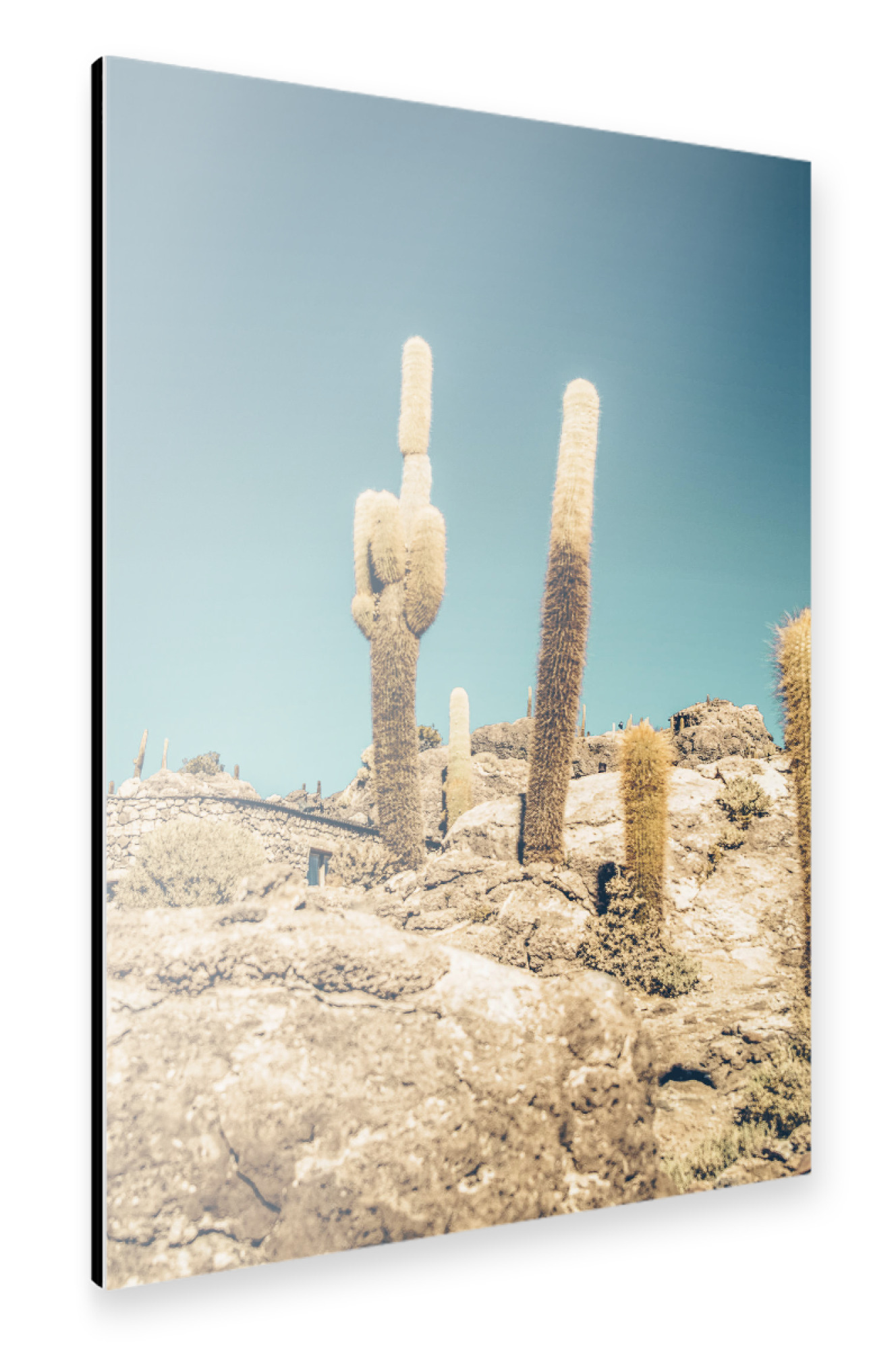 Alu-Dibond "Uyuni cactus" 30x20 cm artboxONE