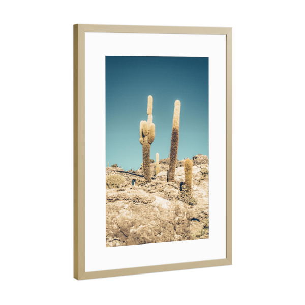 Poster mit Rahmen Gold "Uyuni cactus" artboxONE - Natur,Reise,Floral - Cactus,Desert,South america
