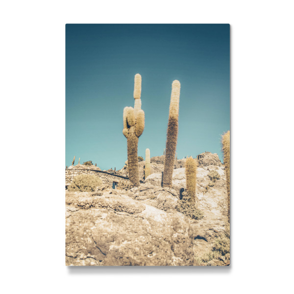 Galerie-Print "Uyuni cactus" 30x20 cm artboxONE