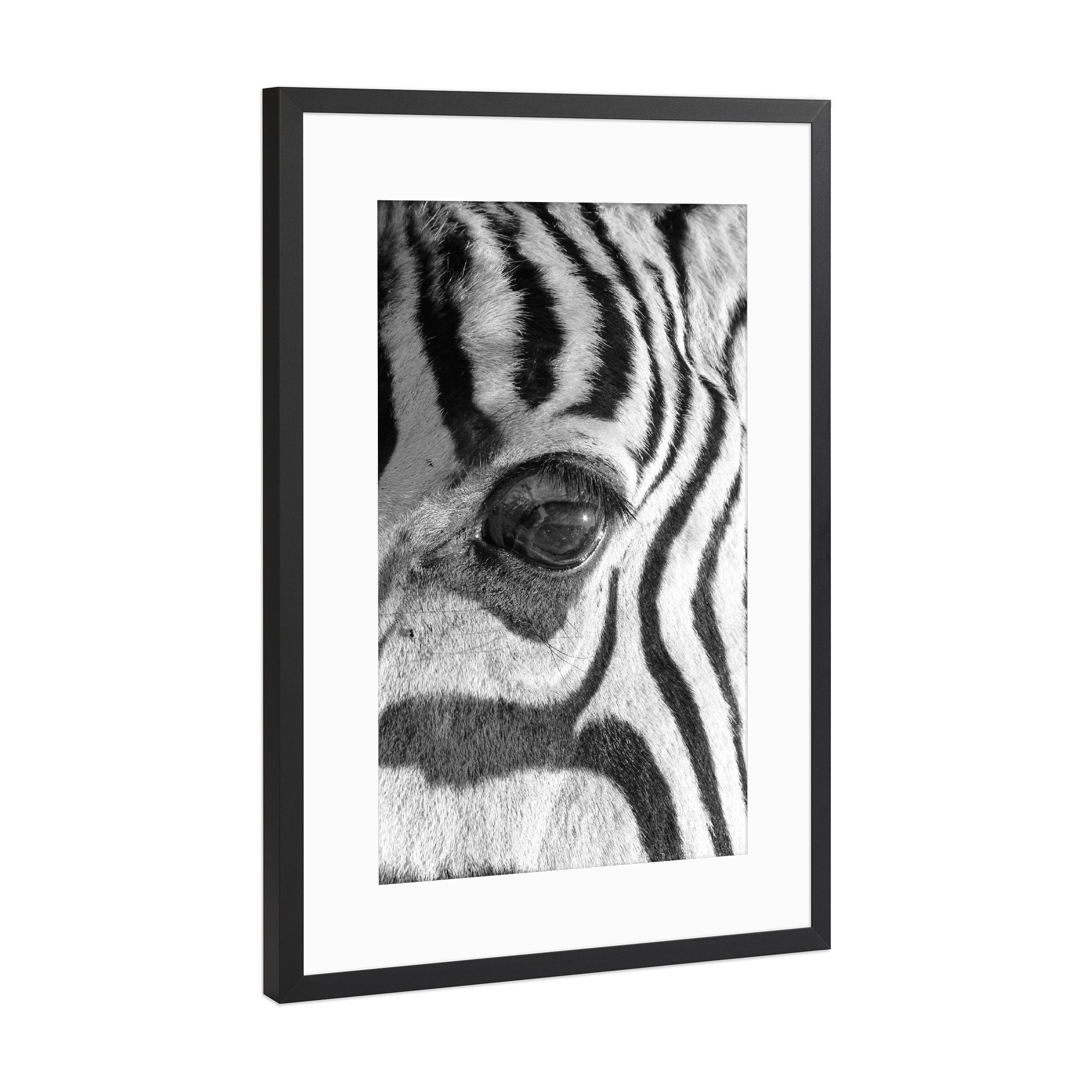 Poster mit Rahmen Schwarz (Metallic) "Zebra ganz nah" artboxONE - Tiere,Schwarzweiß,Reise / Afrika - Zebra,Wild,Streifen