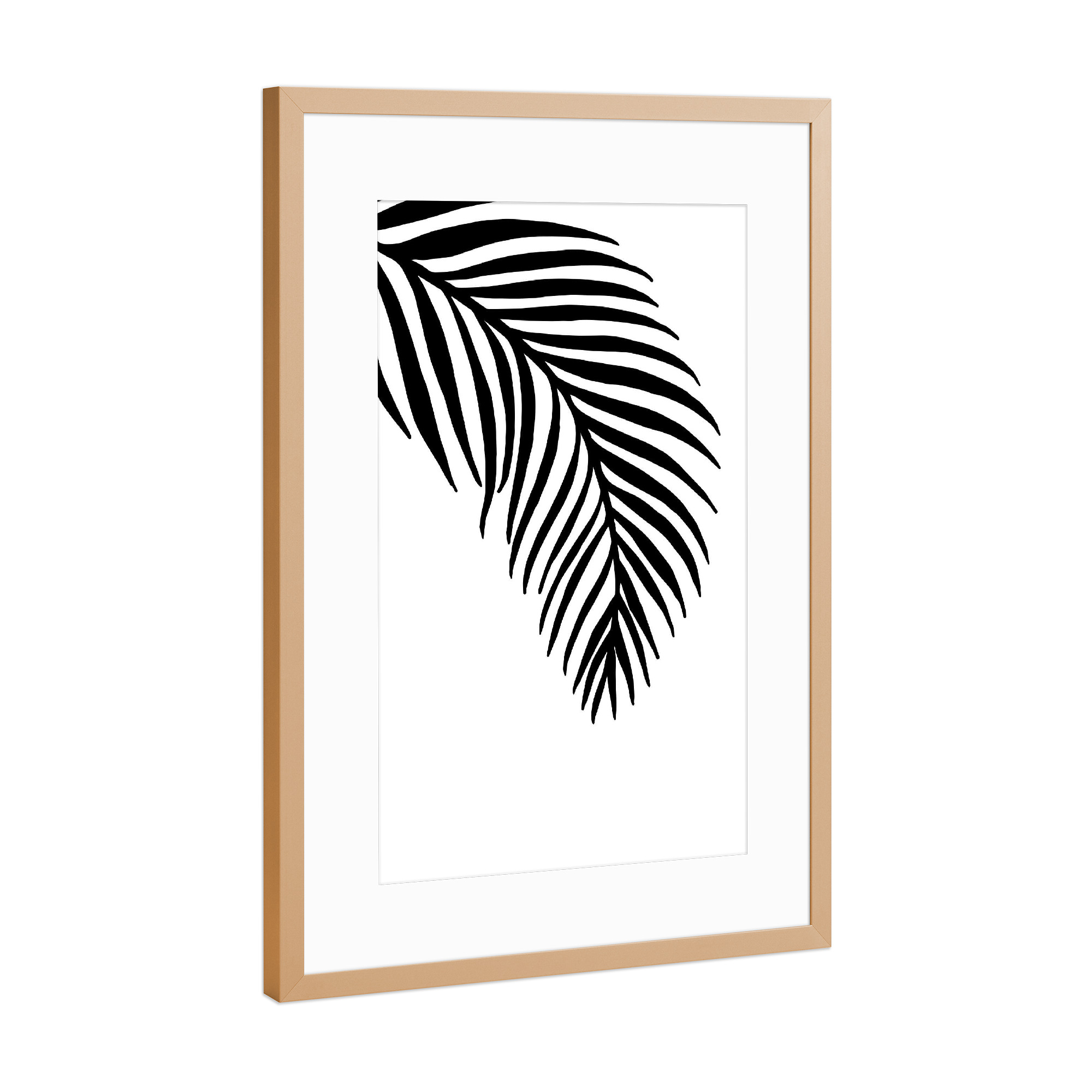 Poster mit Rahmen Kupfer "Palm Leaves White - Motif Two" artboxONE - Natur,Schwarzweiß - Leaf,Tropical,Palmtree