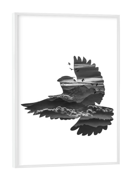 Poster mit weißem Rahmen "Freedom Bird" artboxONE - Natur,Tiere,Schwarzweiß - Clouds,Birds,Mountain