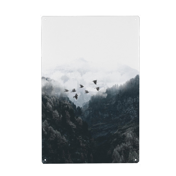 Metall Poster "Harmony" artboxONE - Natur,Schwarzweiß - Birds,Mountains,Forest - Blechschild