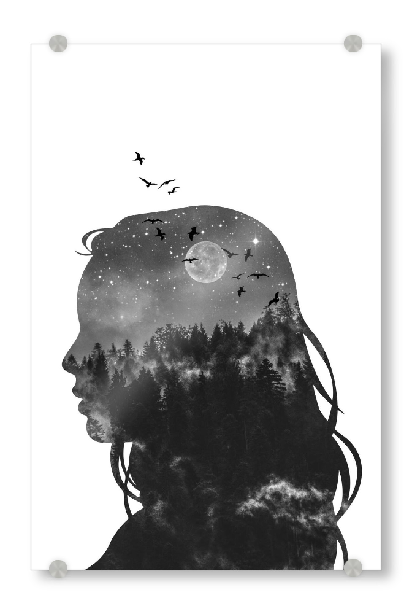 Acrylglasbild "Midnight Dream" artboxONE - Abstrakt,Schwarzweiß - Forest,Girl,Birds