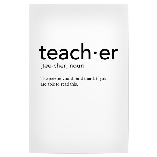 Teacher definition 14