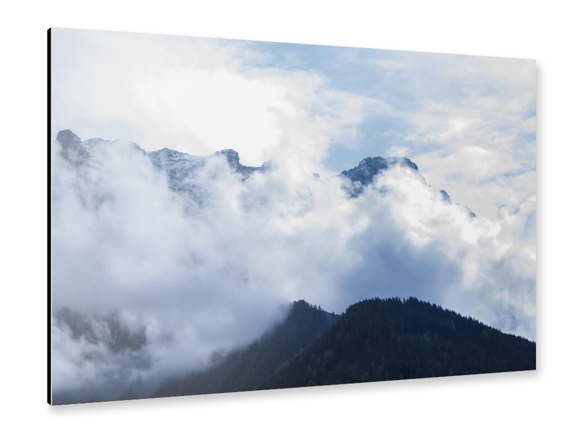 Alu-Dibond "Im Morgentau" 75x50 cm artboxONE