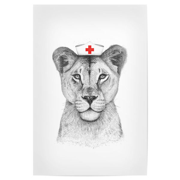 Poster "Dr. Löwin" artboxONE - Tiere - Löwe,Löwin,Doktorin,Doktor,Dr.,Krankenschwester,Nurse