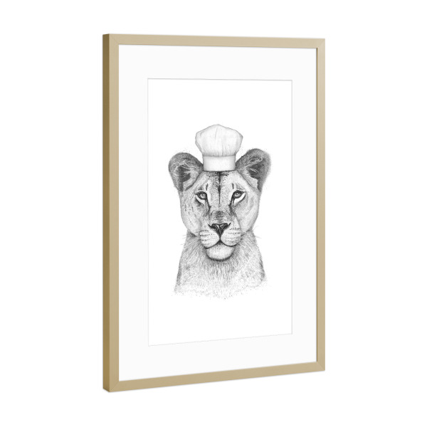 Poster mit Rahmen Gold "Löwin Köchin" artboxONE - Tiere,Schwarzweiß - Löwin,Löwe,Koch,Köchin