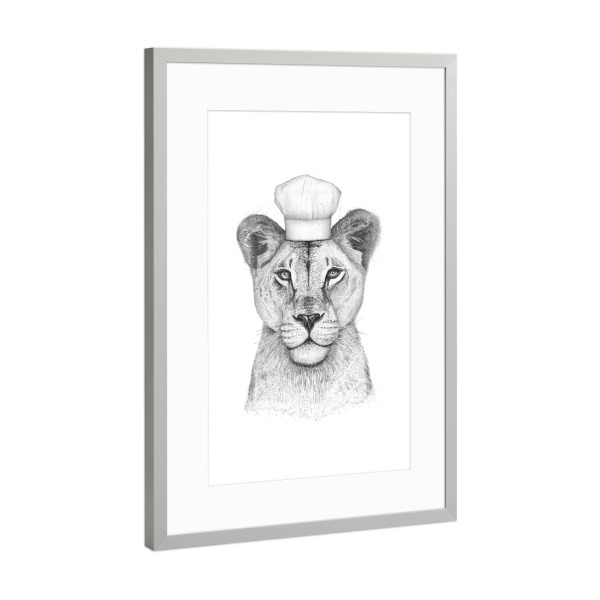 Poster mit Rahmen Silber "Löwin Köchin" artboxONE - Tiere,Schwarzweiß - Löwin,Löwe,Koch,Köchin