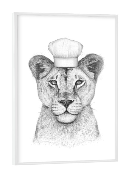 Poster mit weißem Rahmen "Löwin Köchin" artboxONE - Tiere,Schwarzweiß - Löwin,Löwe,Koch,Köchin
