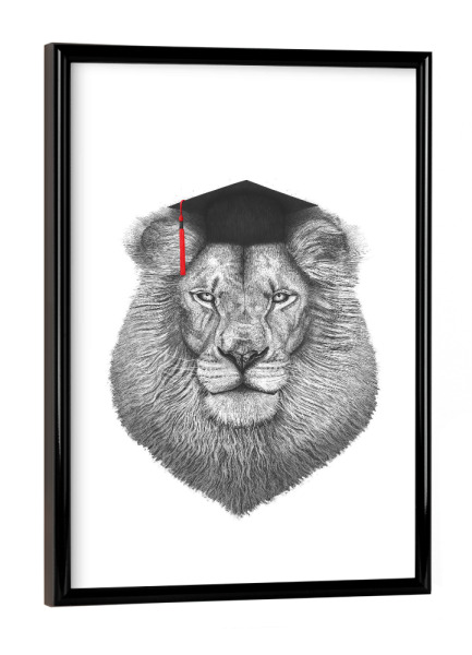 Poster mit schwarzem Rahmen "Akademiker Löwe" artboxONE - Tiere,Schwarzweiß - Löwe,Akademiker,Absolvent,Universität
