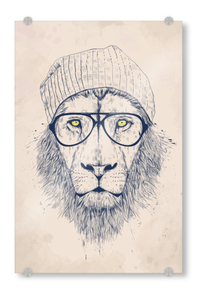 Acrylglasbild "Cool lion" artboxONE - Tiere - Lion,Hipster
