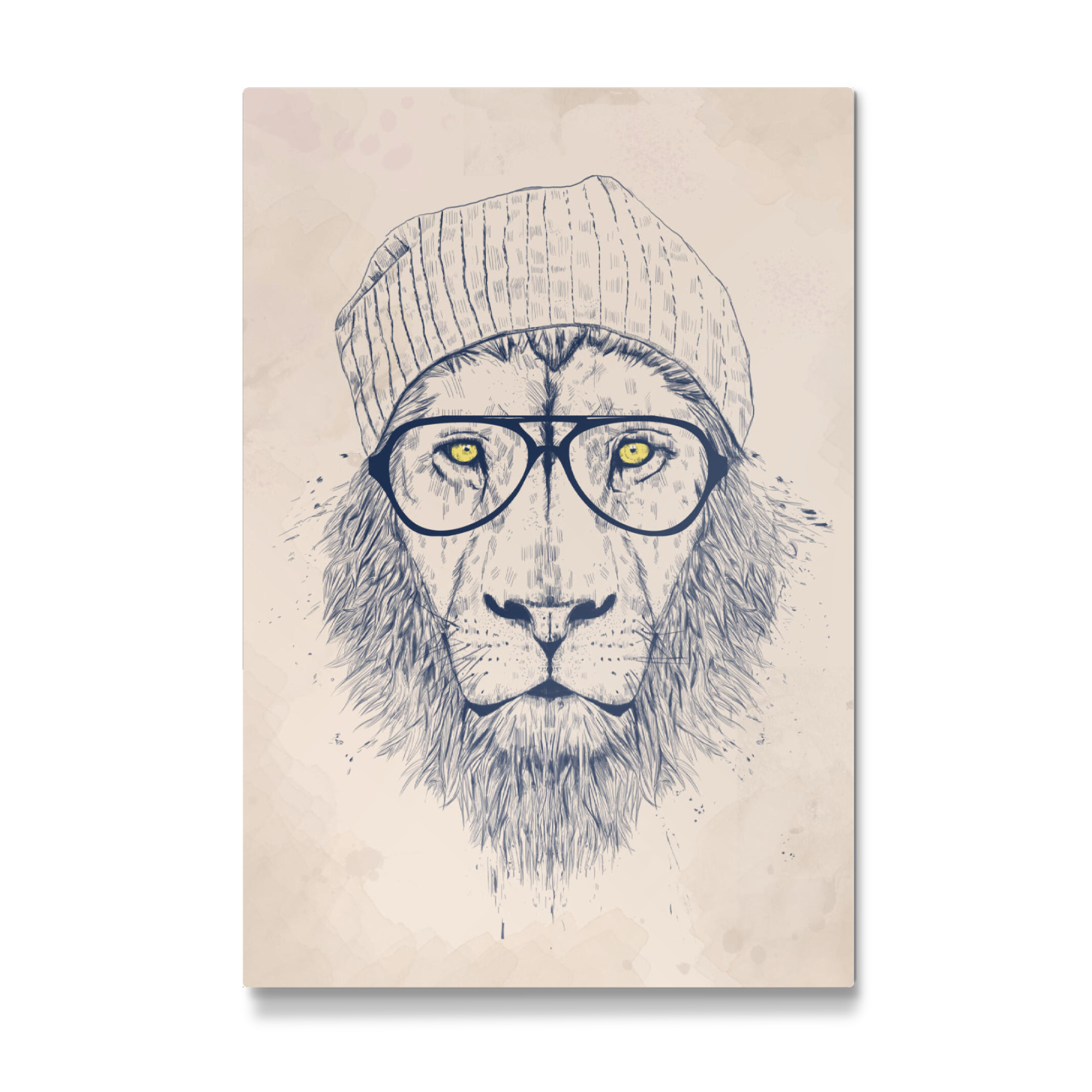 Galerie-Print "Cool lion" 75x50 cm artboxONE