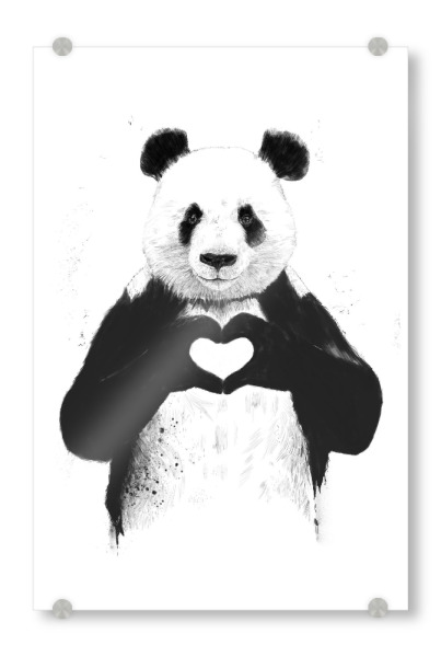 Acrylglasbild "All you need is love Panda" artboxONE - Tiere,Schwarzweiß - Panda,Love,Heart