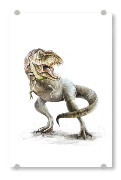 Acrylglasbild "T-Rex" artboxONE - Tiere - Dino,Dinosaurier,Tyrannosaurus