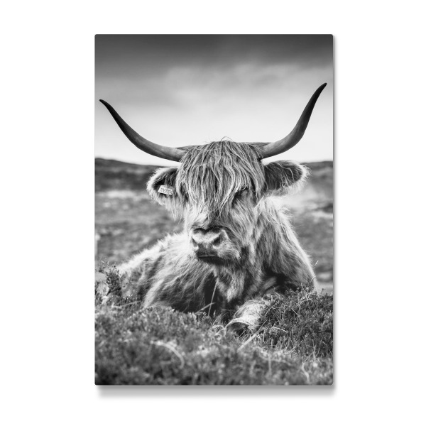 Galerie-Print "HIGHLAND COW B/W" 30x20 cm artboxONE