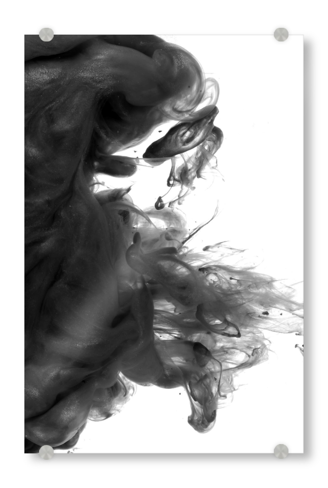 Acrylglasbild "Ink in water photography" artboxONE - Abstrakt,Schwarzweiß - Tinte,Minimalistisch,Flüssig