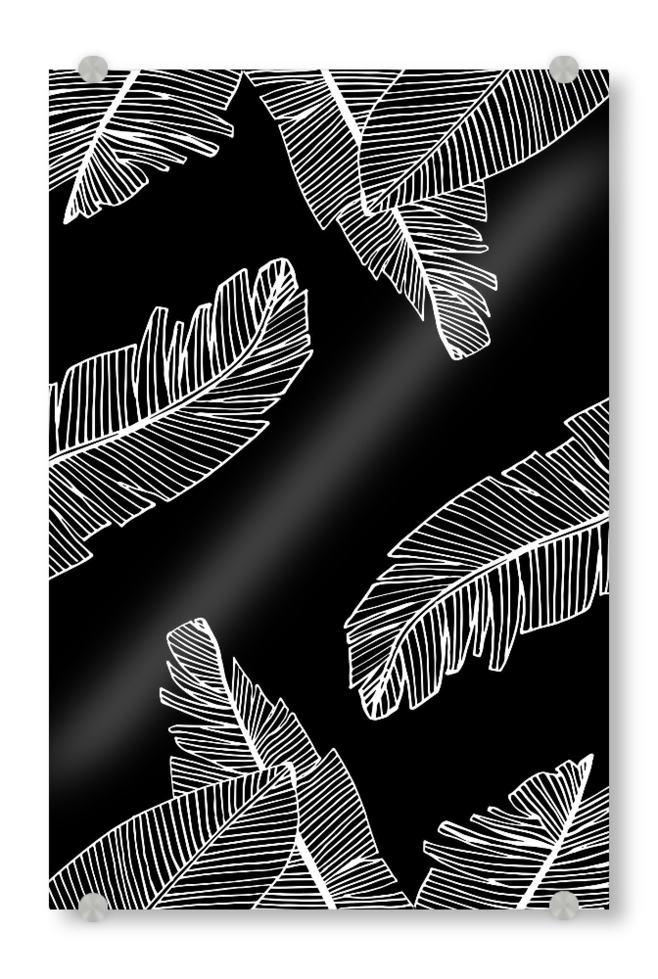 Acrylglasbild "Banana Leaves Black - Motif Six" artboxONE - Floral,Schwarzweiß - Palm leaves,Palmtree,Leaves