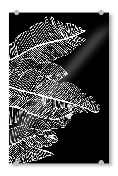 Acrylglasbild "Banana Leaves Black - Motif Five" artboxONE - Natur,Floral,Abstrakt,Schwarzweiß