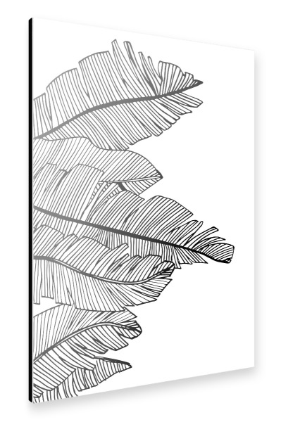 Alu-Dibond "Banana Leaves White - Motif Five" 30x20 cm artboxONE