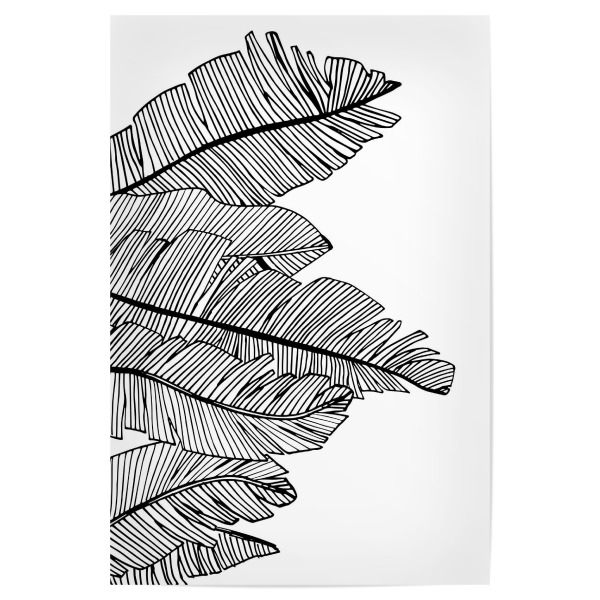 Poster "Banana Leaves White - Motif Five" artboxONE - Floral,Abstrakt,Schwarzweiß - Leaves,Palmtree,Palm