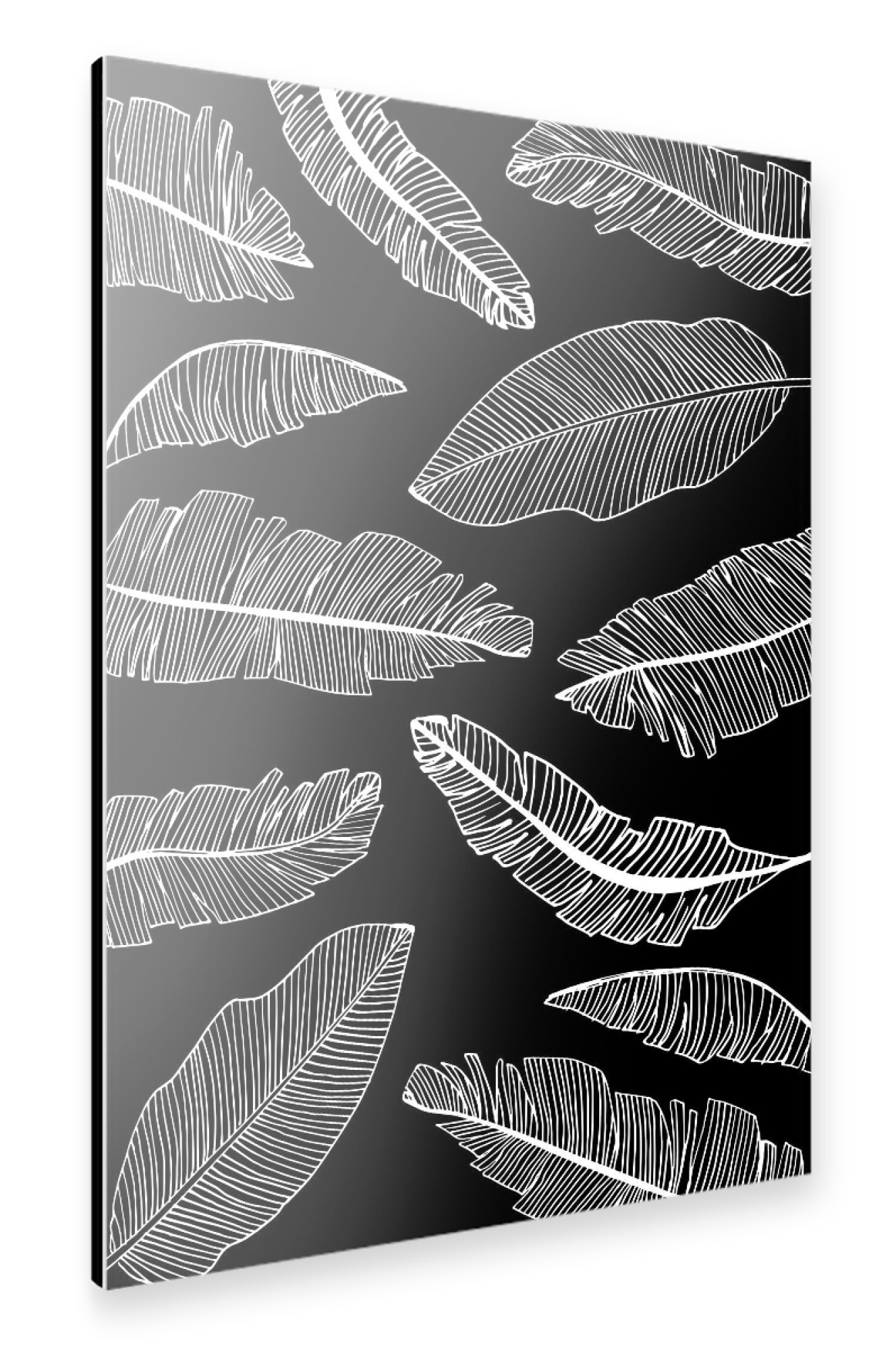 Alu-Dibond "Banana Leaves Black - Motif Three" 75x50 cm artboxONE