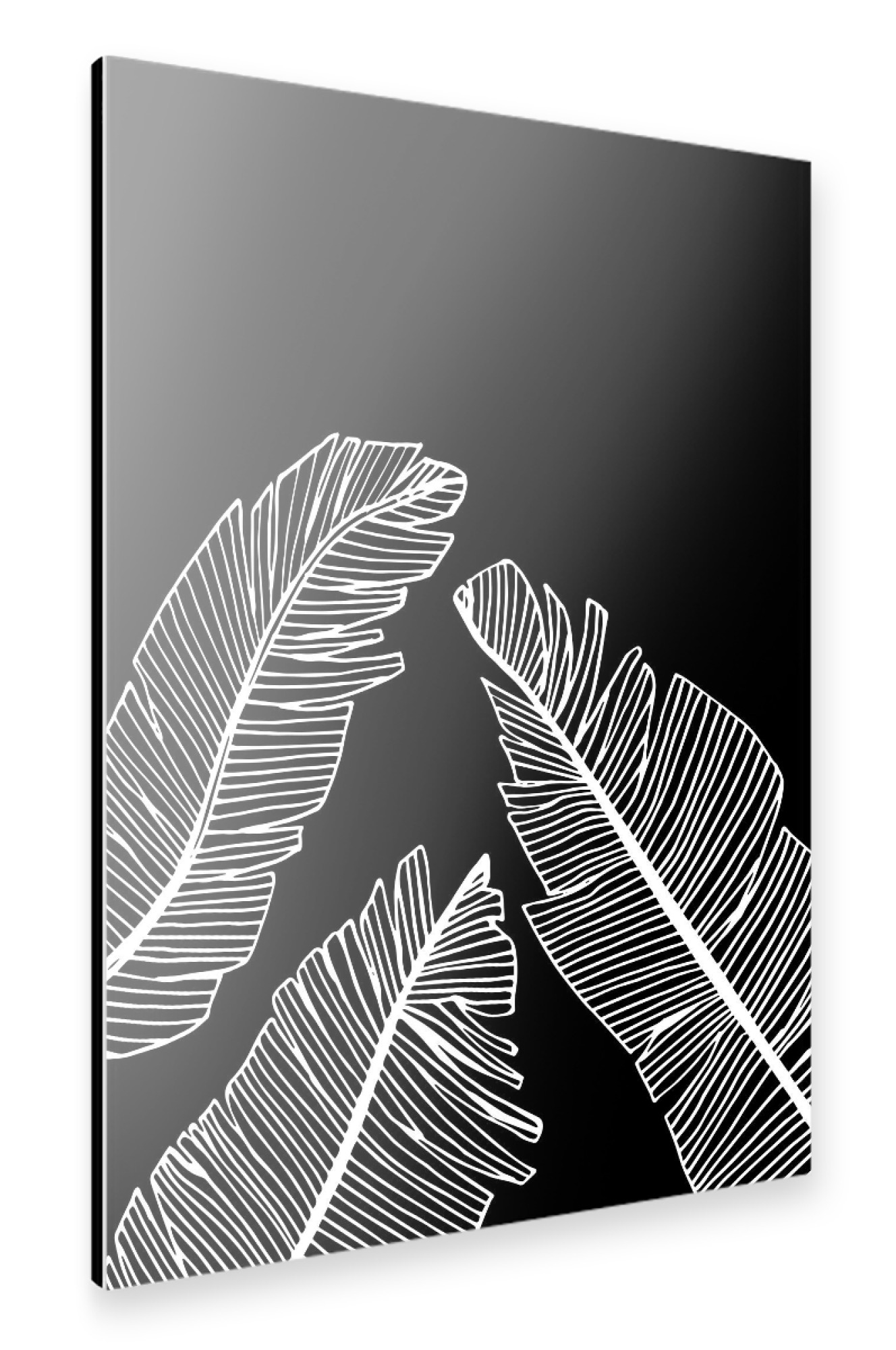 Alu-Dibond "Banana Leaves Black - Motif Two" 30x20 cm artboxONE