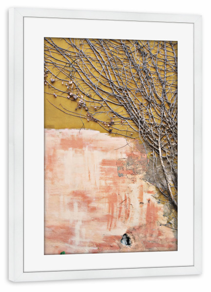 Poster mit Rahmen weiß "The Roots" artboxONE - Natur - Wurzeln,Baum,Pflanzen