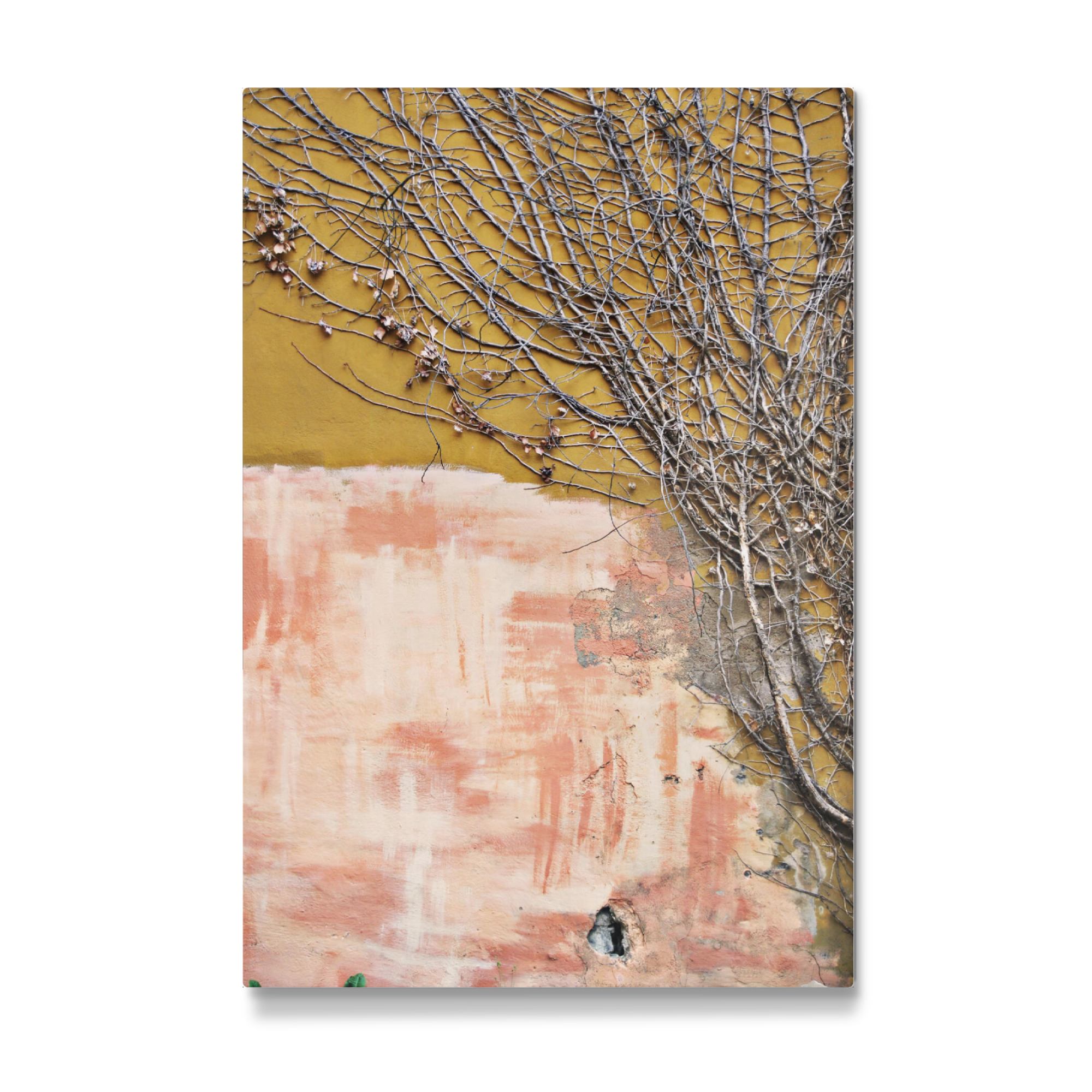 Galerie-Print "The Roots" 75x50 cm artboxONE
