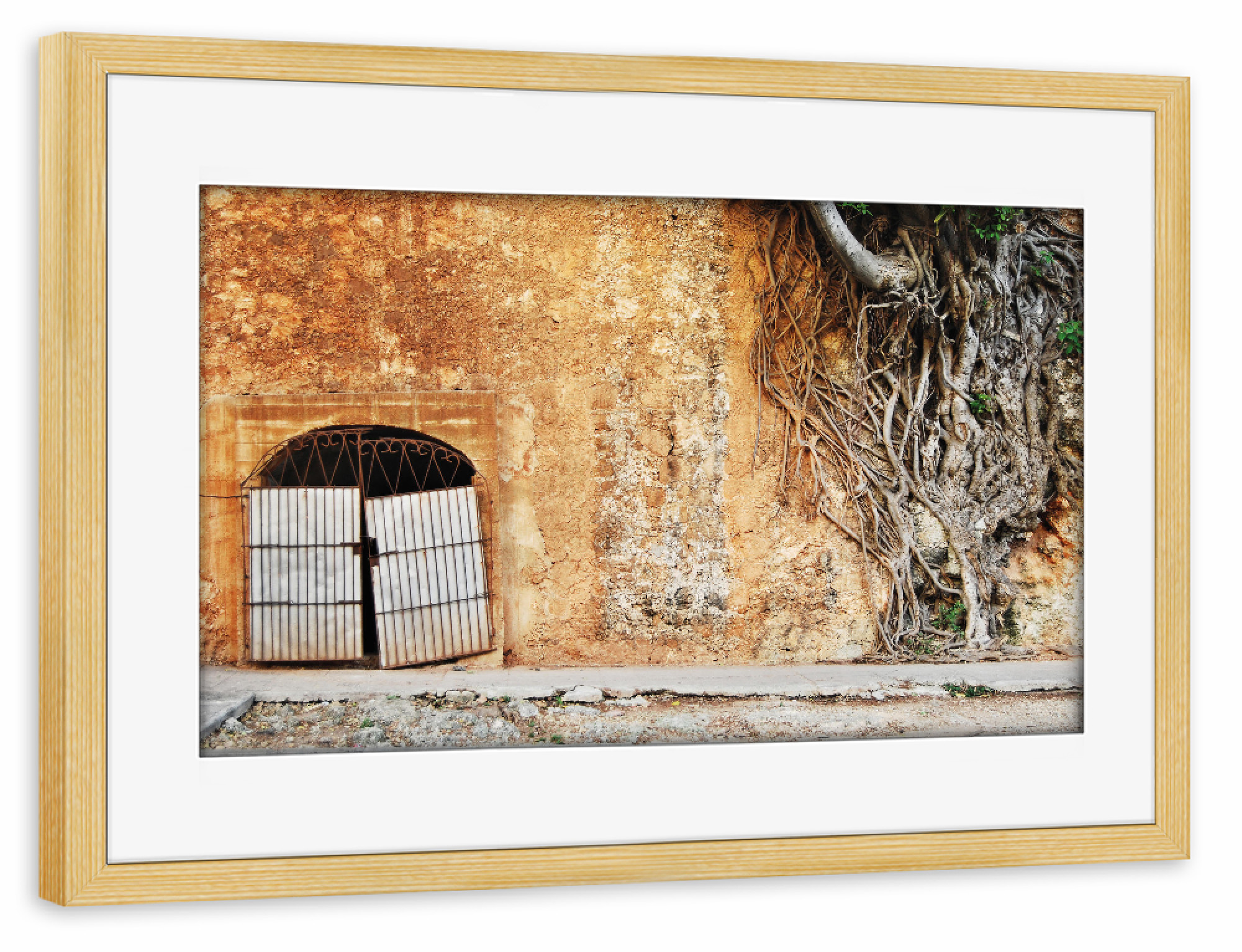 Poster mit Rahmen kiefer "Abandoned Place" artboxONE - Städte,Natur,Reise,Architektur,Reise / Länder - Pflanzen,Baum,Wurzeln,Tür,Architektur