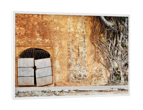 Poster mit weißem Rahmen "Abandoned Place" artboxONE - Städte,Natur,Reise,Architektur,Reise / Länder - Pflanzen,Baum,Wurzeln,Tür,Architektur