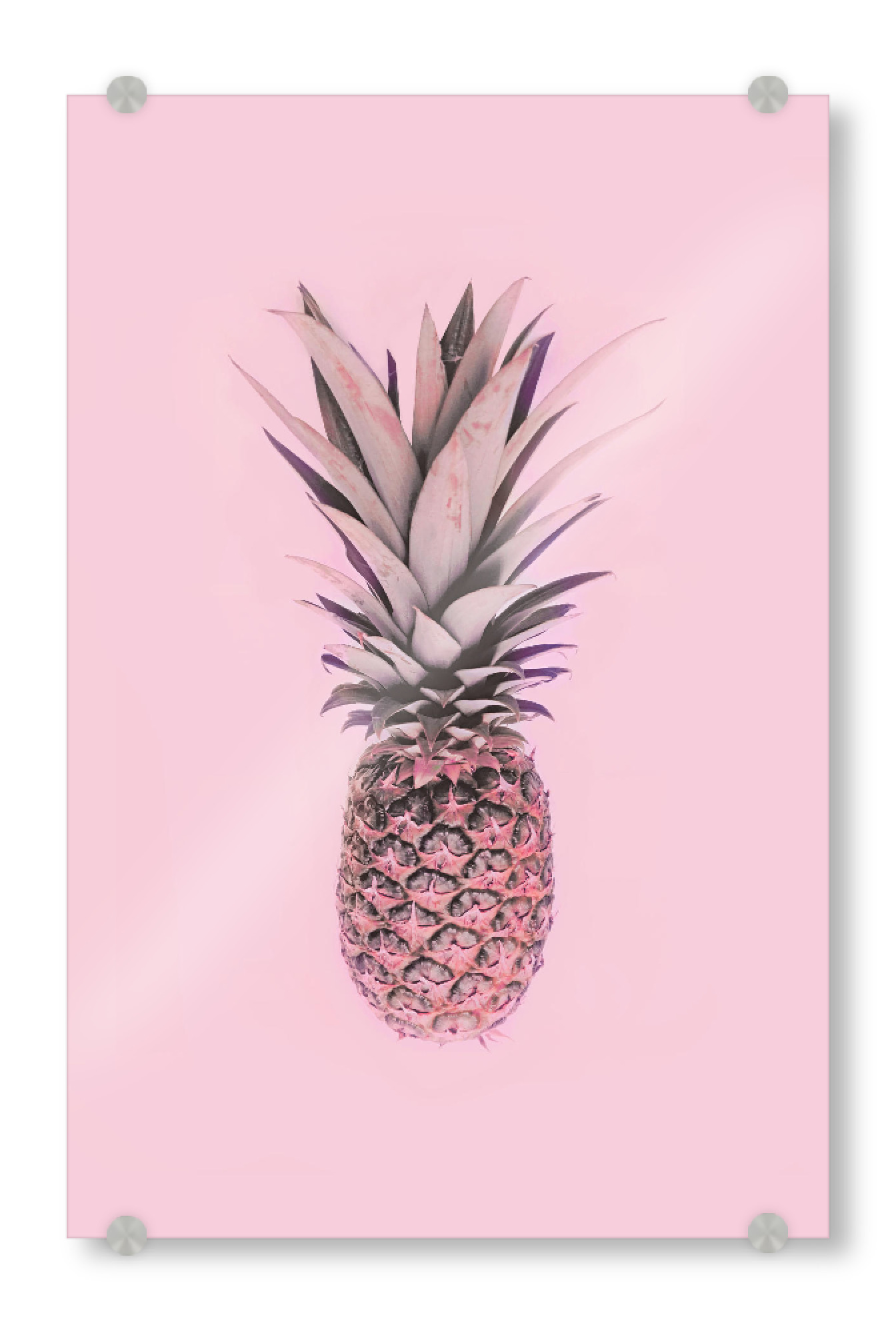 Acrylglasbild "Pink Pineapple" artboxONE - Essen & Trinken / Obst & Gemüse - Pineapple,Fruit
