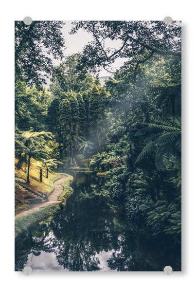 Acrylglasbild "Green garden" artboxONE - Natur,Reise,Floral - Garden,Greenery,Plants,Nature,Green,Tree,Trees,Forest,Jungle,Tropical,River