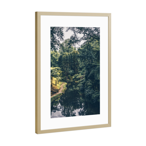 Poster mit Rahmen Gold "Green garden" artboxONE - Natur,Reise,Floral - Garden,Greenery,Plants,Nature,Green,Tree,Trees,Forest,Jungle,Tropical,River