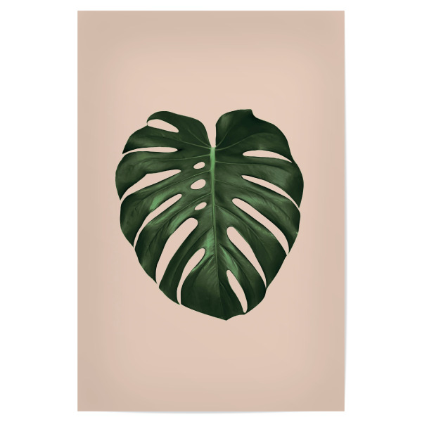 Poster "Monstera in pink" artboxONE - Natur,Floral